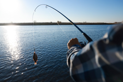Florida 'Right to Fish and Hunt' amendment makes it onto 2024 ballot