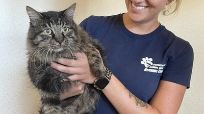 12 years after going missing, former Southern California family reunited with long-lost cat