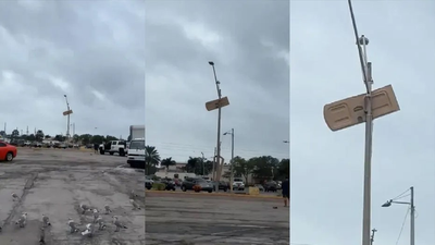 Florida storms send porta-potty door flying, impales into a light pole: 'National flag of Florida'