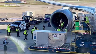 American Airlines flight taken out of service after suffering engine damage while taxiing