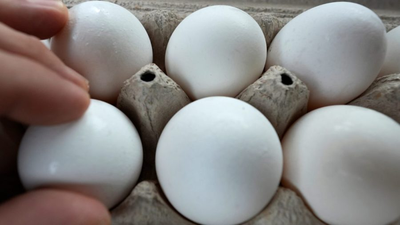 Trump moves hamper bird flu response as egg prices spike