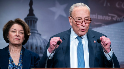 Democrats struggling with unified strategy to oppose Trump, Musk