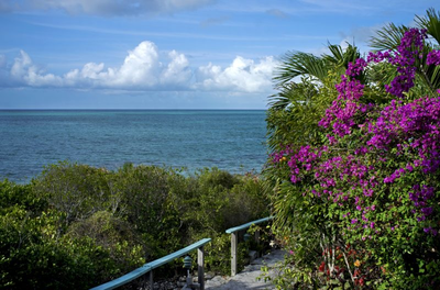 Tourist in Turks and Caicos severely injured in shark attack