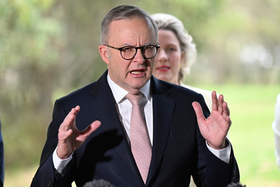 American draws Australian PM's ire after snatching wombat