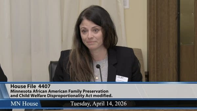 Minnesota counties raise concerns about implementing new law aimed at disproportionality in foster care