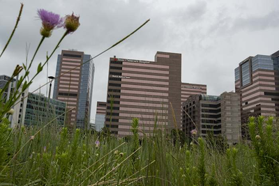 Texas Children’s Hospital must create country’s first “detransition clinic” under legal settlement with state