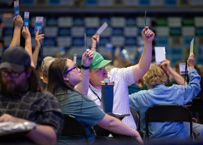 Ex-DFL chair questions need for endorsing conventions