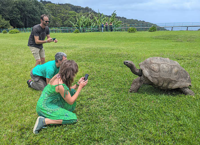 World's oldest known tortoise still very much alive despite rumor to the contrary
