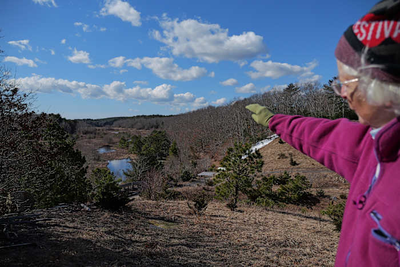 How a retired cranberry bog helped change the game for wetland restoration