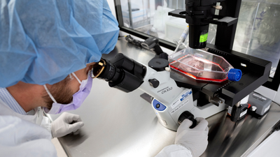 New cancer tech sends chemo straight to tumors