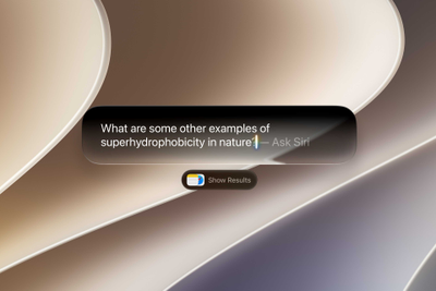 Siri AI is all Apple; it just needed Google to get there