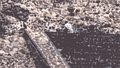 Americans among injured at shooting caught on video at tourist hot spot in Mexico