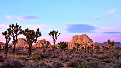 Hiker stumbles on human skull in iconic desert as mystery grows and detectives open homicide probe