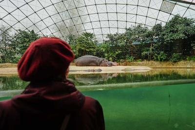 A specialized tour at the Berlin Zoo brings joy to people living with dementia