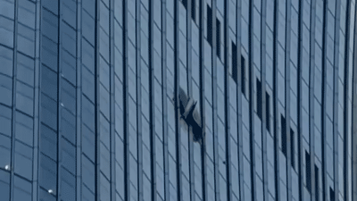 Pilot dead, 13 injured after small plane crashes into towering skyscraper