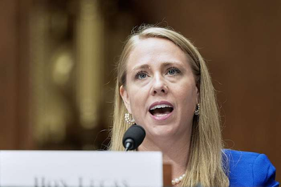 Researchers, advocates rail against government's efforts to end workforce data collection