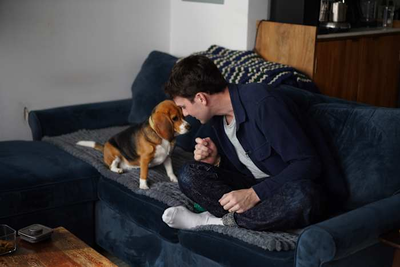 Gene-edited beagles may offer a future option for people with dog allergies