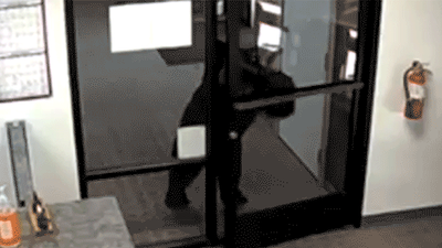 Black bear caught on video wandering into California water district office after pushing open front door