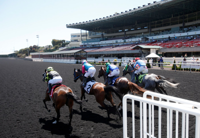 Horse death toll rising at Golden Gate Fields, the Bay Area’s last racetrack