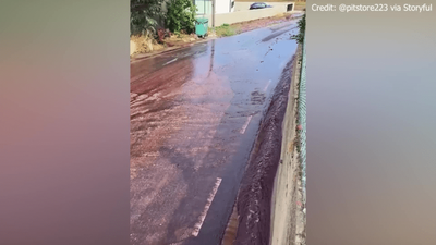 WATCH: Streets fill up with red wine after a distillery's 2.2 million liter tank bursts