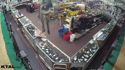 VIDEO: Burglar falls from ceiling while stealing guns from pawn shop
