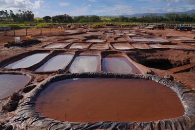 Native Hawaiian salt makers combat climate change and pollution to protect a sacred tradition
