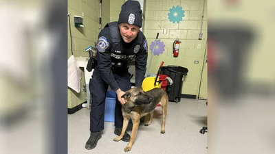 Officers help dog found outside in subzero temps