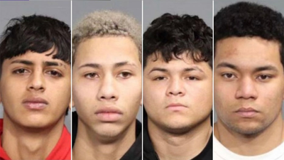 NYC migrants arrested for assaulting police flee to California upon release: report