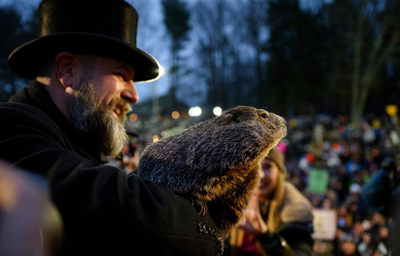 What does Punxsutawney Phil do the rest of the year?