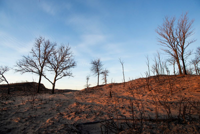 Texas Panhandle wildfires: What you need to know about the blazes, damage and recovery