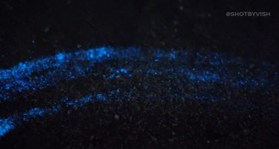 WATCH: Glowing sand spotted at San Diego beach