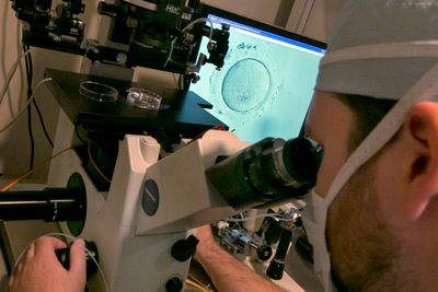 Alabama lawmakers look for IVF solution as patients remain in limbo