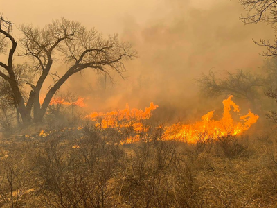 Why did the Texas Panhandle fires grow so fast?