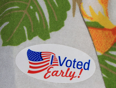 What was the early voting turnout in the Tampa Bay area?