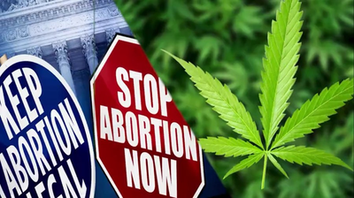 Florida Supreme Court allows recreational marijuana, abortion amendments on 2024 ballot