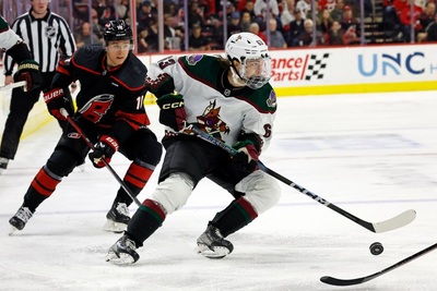 NHL executive committee approves Arizona Coyotes' move to Utah