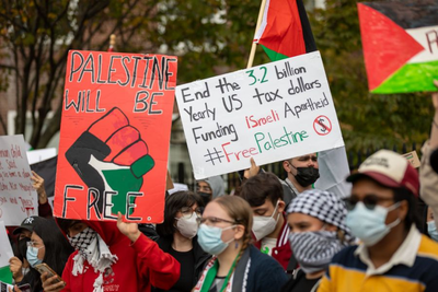 Who was behind the wave of pro-Palestinian protests across the US?
