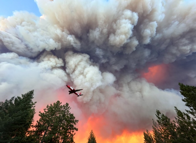 Park Fire: California's first fire to reach 100,000+ acres since 2021
